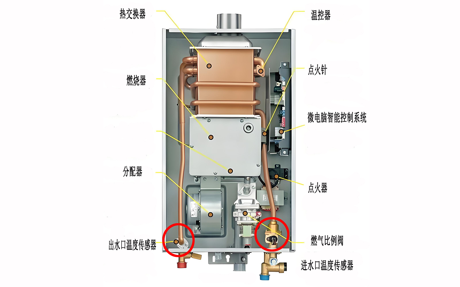 香港内部最准的一肖